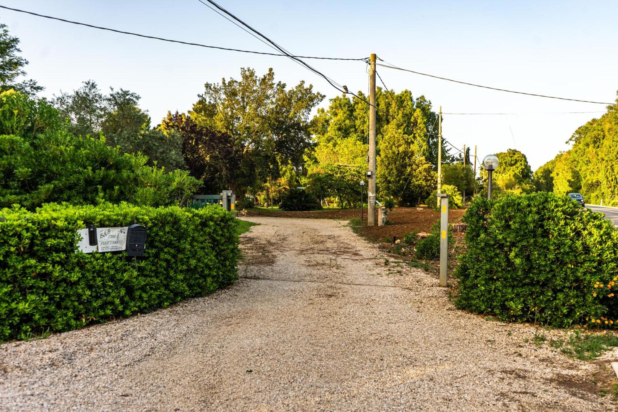 Bed and Breakfast The Vineyards Альгеро Экстерьер фото